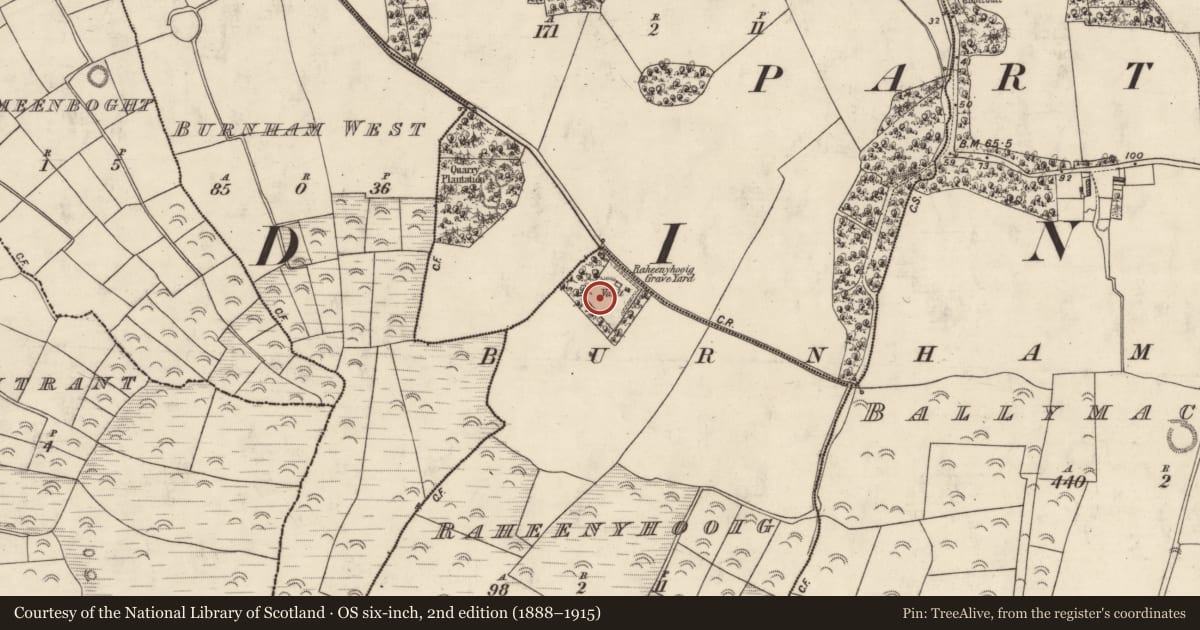 Ordnance Survey six-inch map, 2nd edition (1888–1915) covering the location of Headstone, Ráithín Uí Bhuaigh, County Kerry, with a pin at the register's coordinates