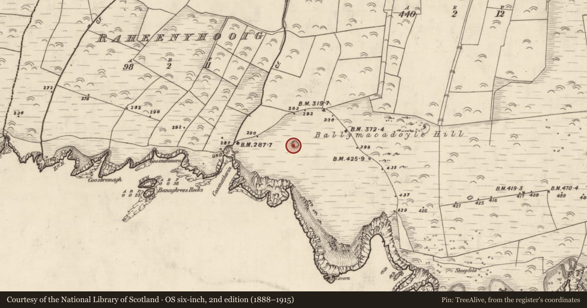 Ordnance Survey six-inch map, 2nd edition (1888–1915) covering the location of Enclosure, Baile Mhic An Daill, County Kerry, with a pin at the register's coordinates