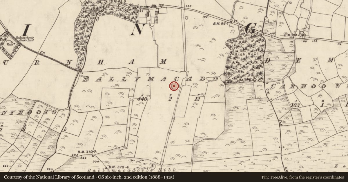 Ordnance Survey six-inch map, 2nd edition (1888–1915) covering the location of Ringfort - rath, Baile Mhic An Daill, County Kerry, with a pin at the register's coordinates