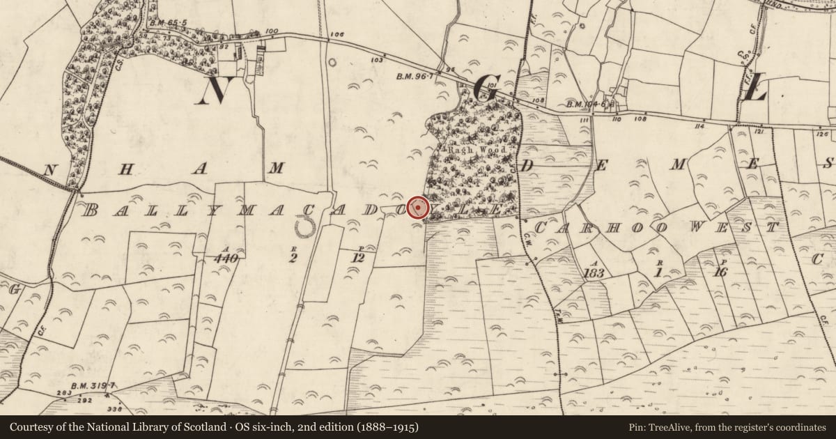 Ordnance Survey six-inch map, 2nd edition (1888–1915) covering the location of Ringfort - rath, Baile Mhic An Daill, County Kerry, with a pin at the register's coordinates