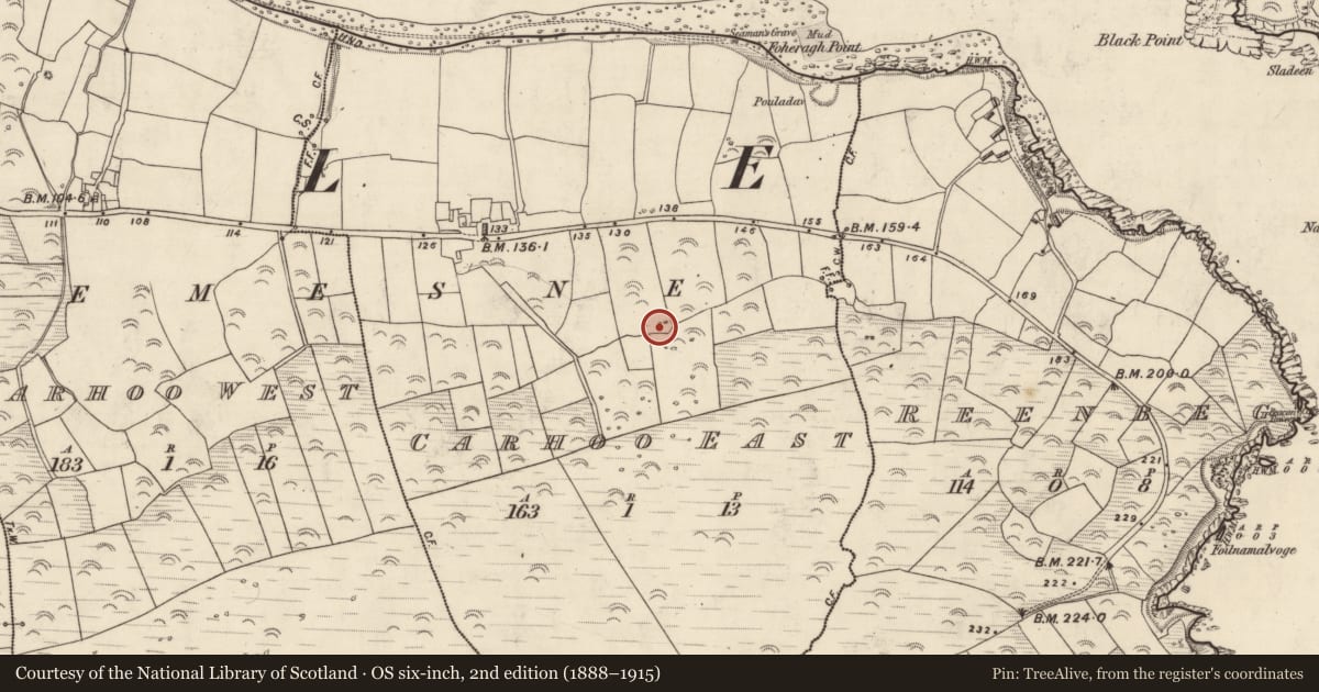 Ordnance Survey six-inch map, 2nd edition (1888–1915) covering the location of Souterrain, An Cheathrú Thoir, County Kerry, with a pin at the register's coordinates