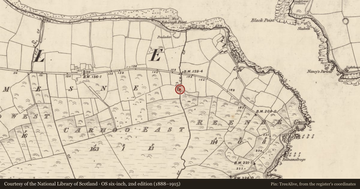 Ordnance Survey six-inch map, 2nd edition (1888–1915) covering the location of Ringfort - rath, An Cheathrú Thoir, An Rinn Bheag, County Kerry, with a pin at the register's coordinates