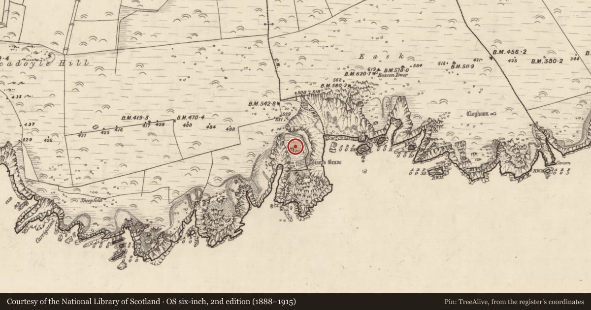 Ordnance Survey six-inch map, 2nd edition (1888–1915) covering the location of Promontory fort - coastal, Baile Mhic An Daill, County Kerry, with a pin at the register's coordinates