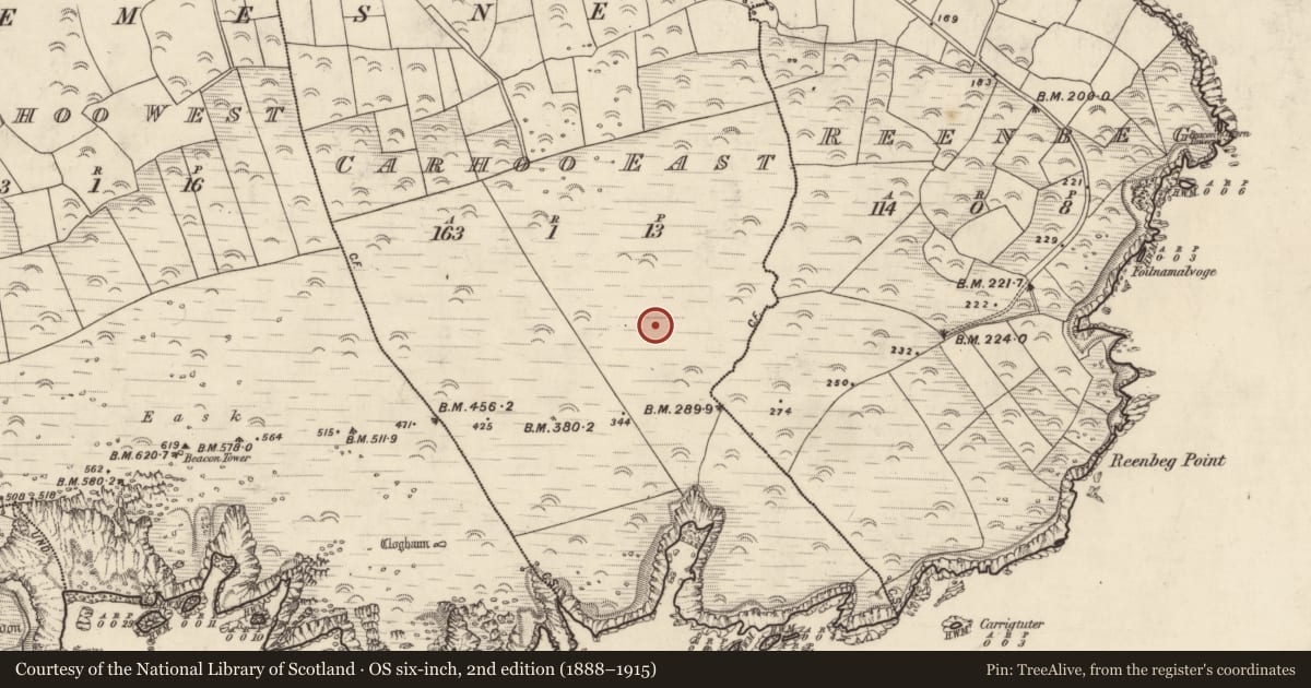 Ordnance Survey six-inch map, 2nd edition (1888–1915) covering the location of Hut site, An Cheathrú Thoir, County Kerry, with a pin at the register's coordinates