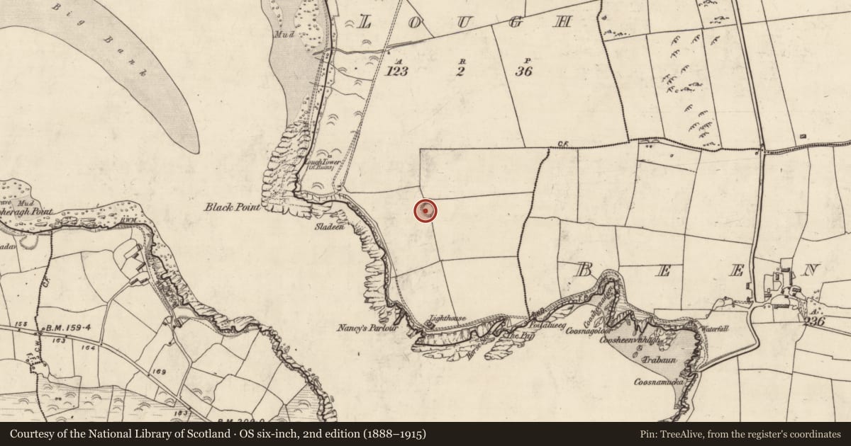 Ordnance Survey six-inch map, 2nd edition (1888–1915) covering the location of Ringfort - rath, An Loch, County Kerry, with a pin at the register's coordinates