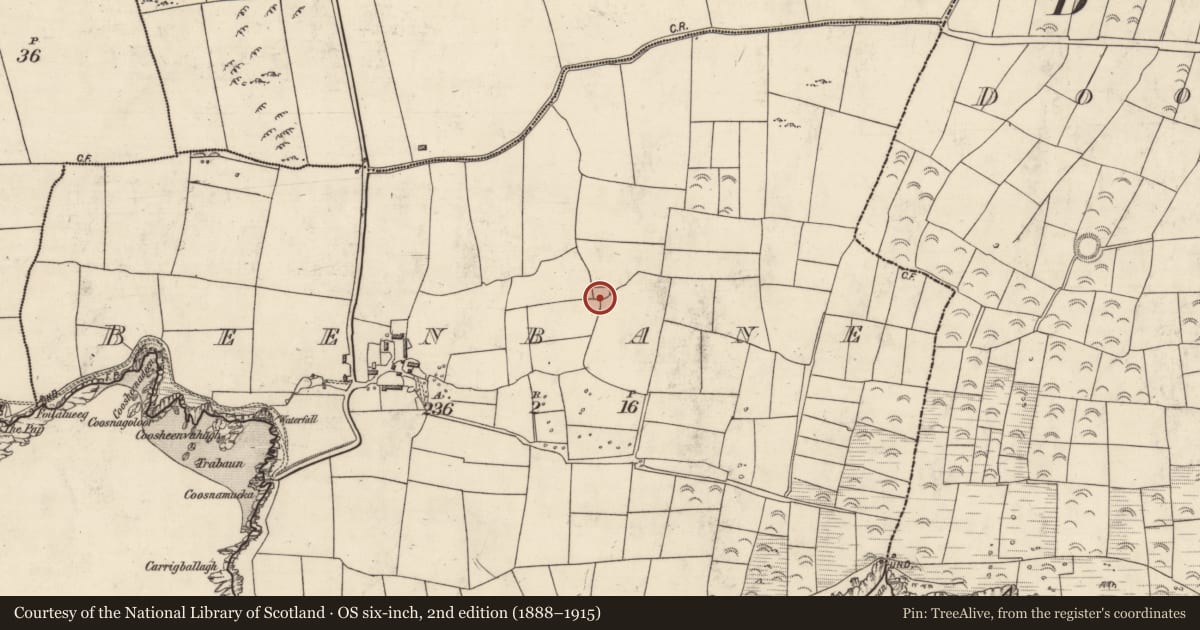 Ordnance Survey six-inch map, 2nd edition (1888–1915) covering the location of Ringfort - rath, An Bhinn Bhán (Corca Dhuibhne), County Kerry, with a pin at the register's coordinates