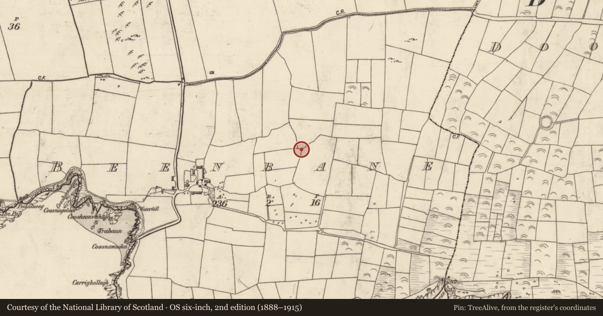 Ordnance Survey six-inch map, 2nd edition (1888–1915) covering the location of Souterrain, An Bhinn Bhán (Corca Dhuibhne), County Kerry, with a pin at the register's coordinates