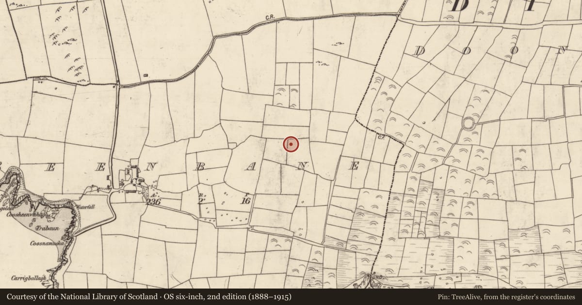 Ordnance Survey six-inch map, 2nd edition (1888–1915) covering the location of Enclosure, An Bhinn Bhán (Corca Dhuibhne), County Kerry, with a pin at the register's coordinates