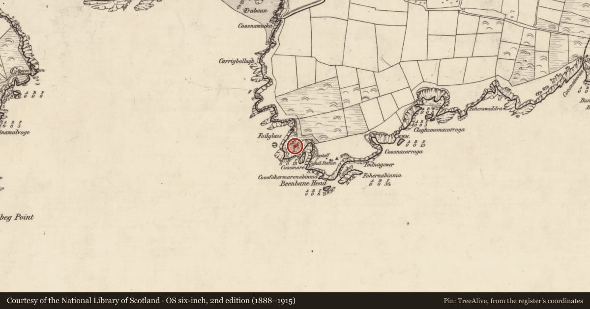 Ordnance Survey six-inch map, 2nd edition (1888–1915) covering the location of Promontory fort - coastal, An Bhinn Bhán (Corca Dhuibhne), County Kerry, with a pin at the register's coordinates