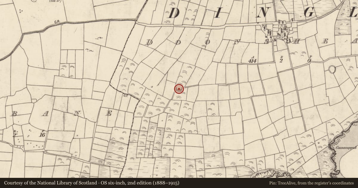 Ordnance Survey six-inch map, 2nd edition (1888–1915) covering the location of Ringfort - rath, Dún Sheáin, County Kerry, with a pin at the register's coordinates