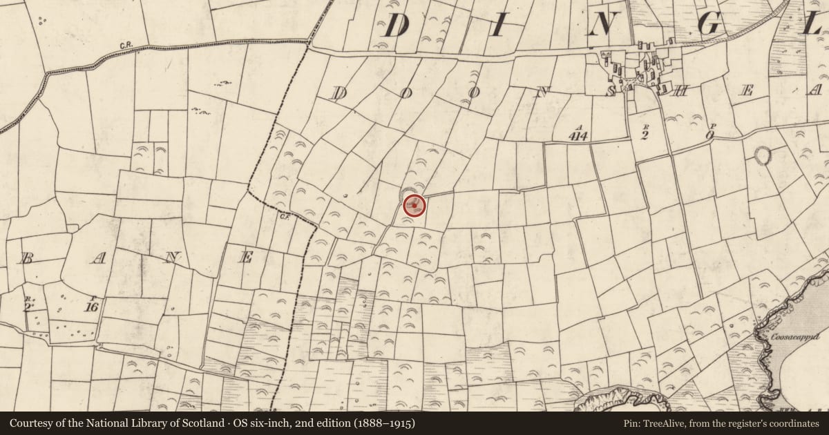 Ordnance Survey six-inch map, 2nd edition (1888–1915) covering the location of Hut site, Dún Sheáin, County Kerry, with a pin at the register's coordinates