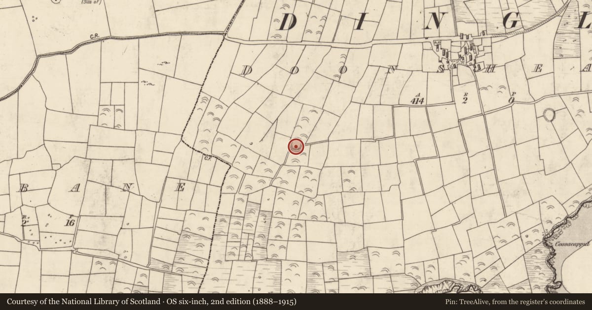 Ordnance Survey six-inch map, 2nd edition (1888–1915) covering the location of Souterrain, Dún Sheáin, County Kerry, with a pin at the register's coordinates