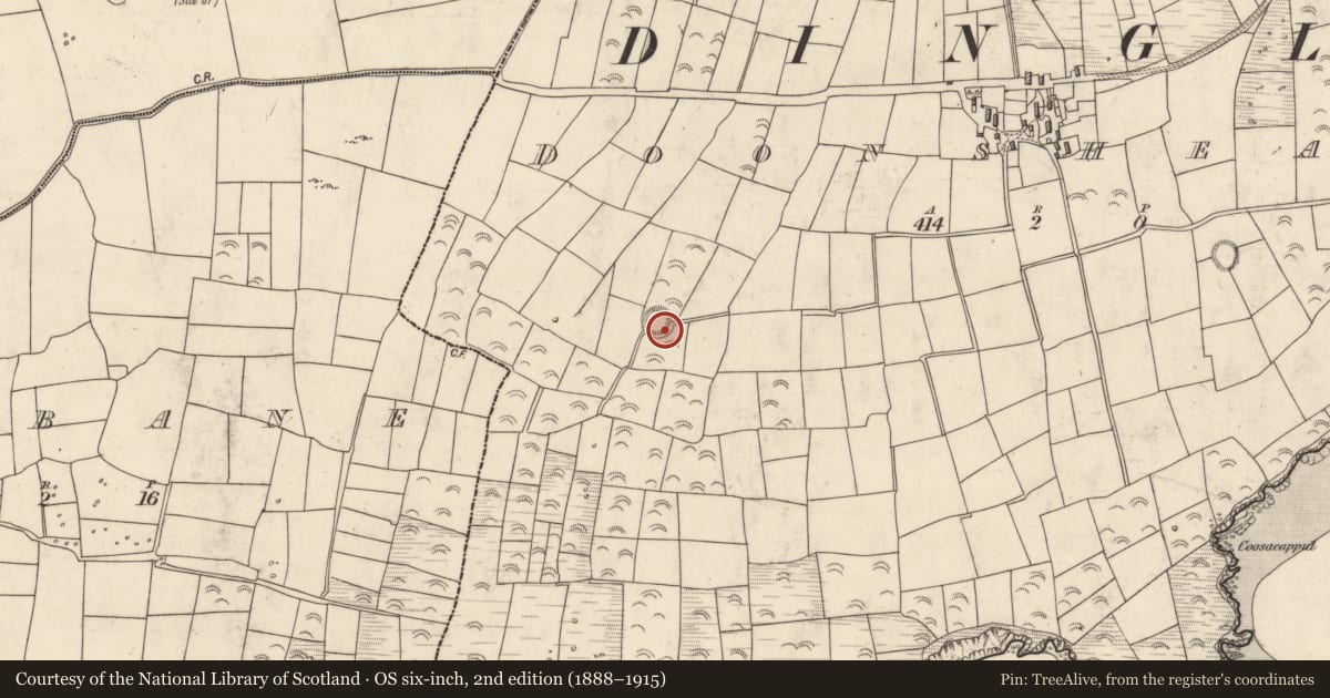 Ordnance Survey six-inch map, 2nd edition (1888–1915) covering the location of Hut site, Dún Sheáin, County Kerry, with a pin at the register's coordinates