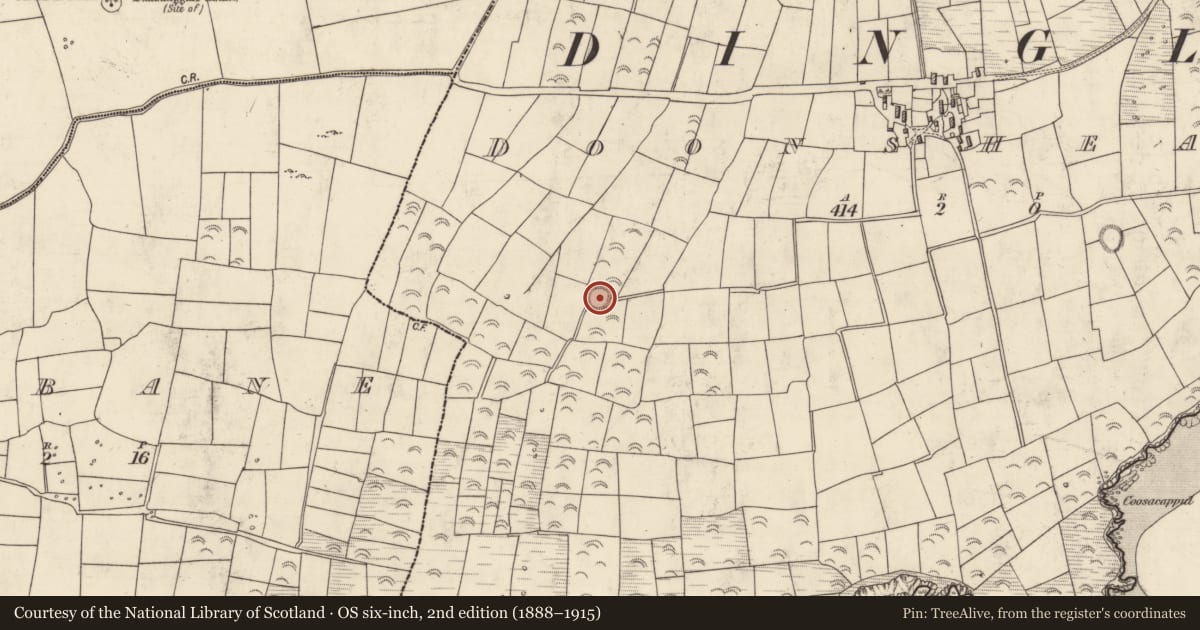 Ordnance Survey six-inch map, 2nd edition (1888–1915) covering the location of Hut site, Dún Sheáin, County Kerry, with a pin at the register's coordinates