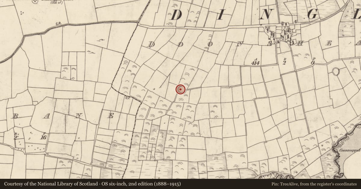 Ordnance Survey six-inch map, 2nd edition (1888–1915) covering the location of Hut site, Dún Sheáin, County Kerry, with a pin at the register's coordinates