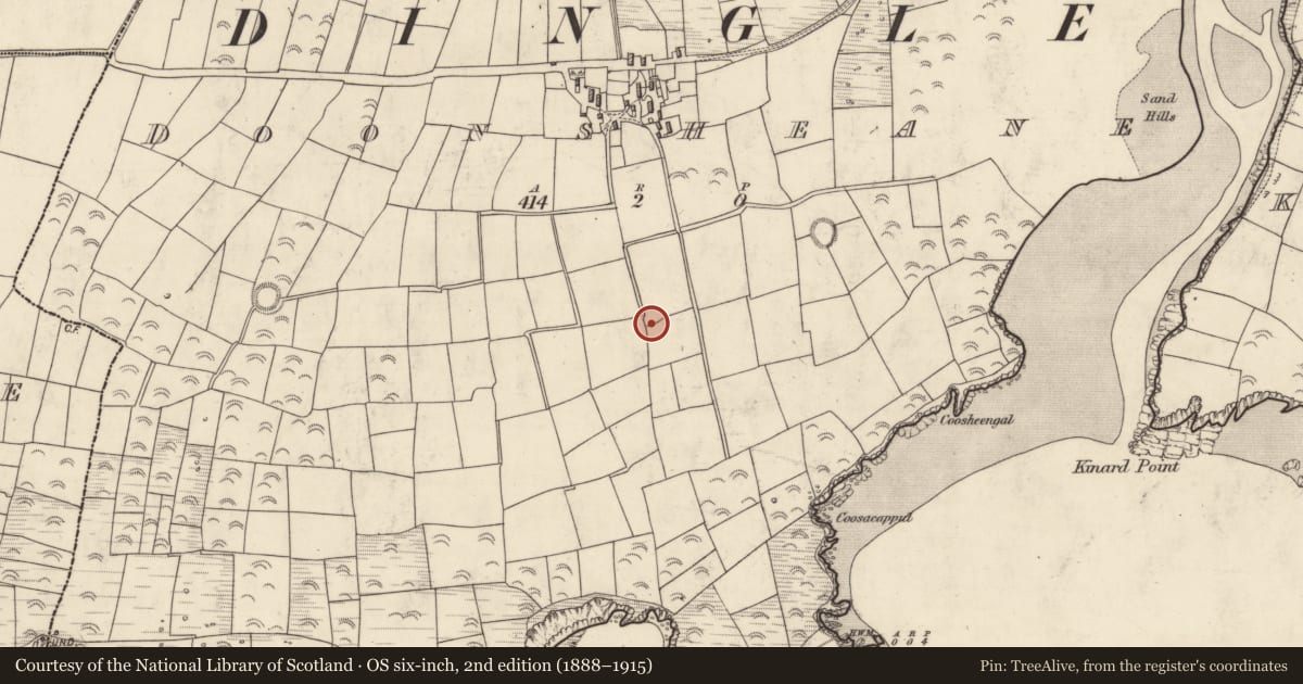 Ordnance Survey six-inch map, 2nd edition (1888–1915) covering the location of Enclosure, Dún Sheáin, County Kerry, with a pin at the register's coordinates