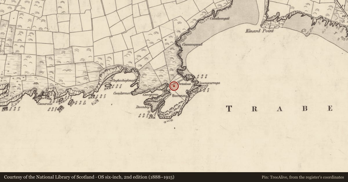 Ordnance Survey six-inch map, 2nd edition (1888–1915) covering the location of Souterrain, Dún Sheáin, County Kerry, with a pin at the register's coordinates