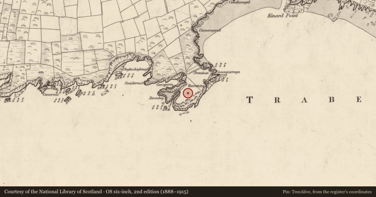 Ordnance Survey six-inch map, 2nd edition (1888–1915) covering the location of Hut site, Dún Sheáin, County Kerry, with a pin at the register's coordinates