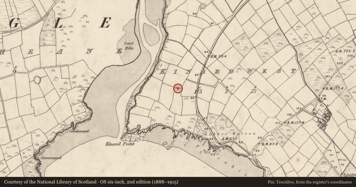 Ordnance Survey six-inch map, 2nd edition (1888–1915) covering the location of Enclosure, Cinn Aird Thiar (TC Cinn Aird), County Kerry, with a pin at the register's coordinates
