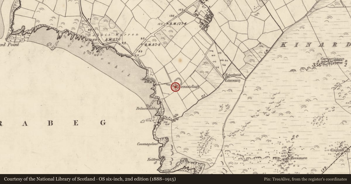Ordnance Survey six-inch map, 2nd edition (1888–1915) covering the location of Ritual site - holy well, Cinn Aird Thiar (TC Cinn Aird), County Kerry, with a pin at the register's coordinates
