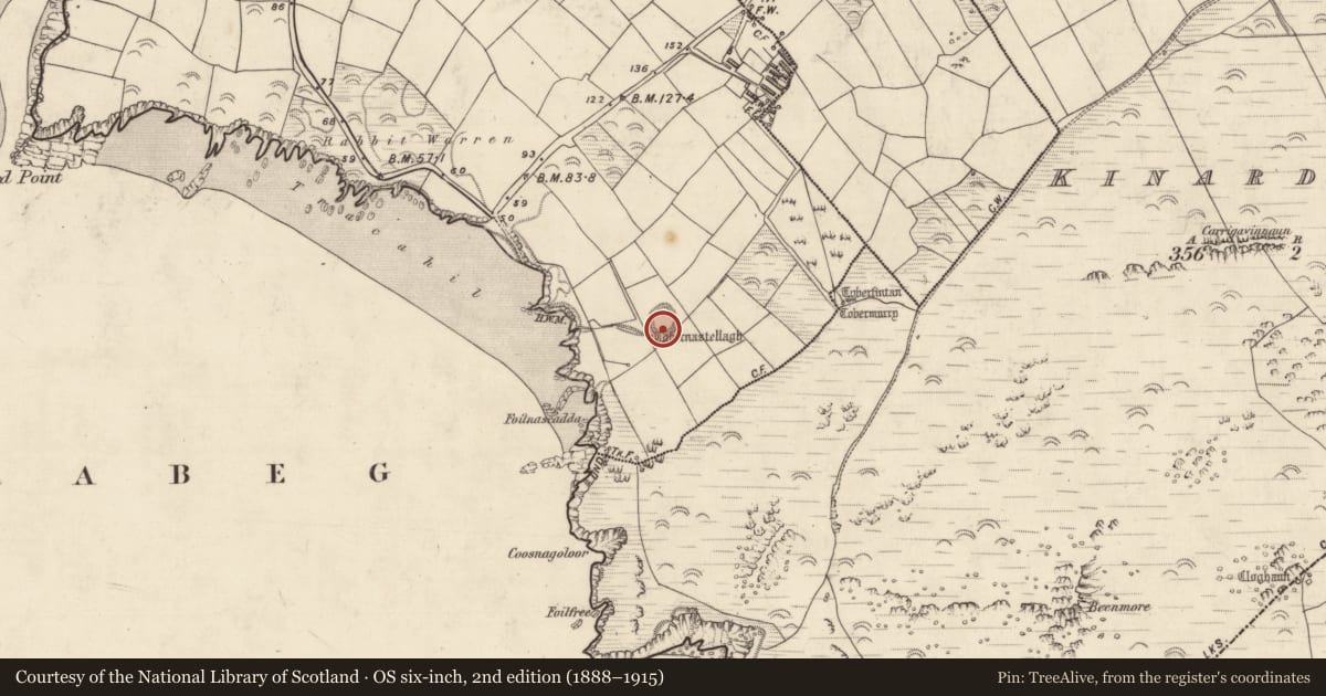 Ordnance Survey six-inch map, 2nd edition (1888–1915) covering the location of Ringfort - rath, Cinn Aird Thiar (TC Cinn Aird), County Kerry, with a pin at the register's coordinates