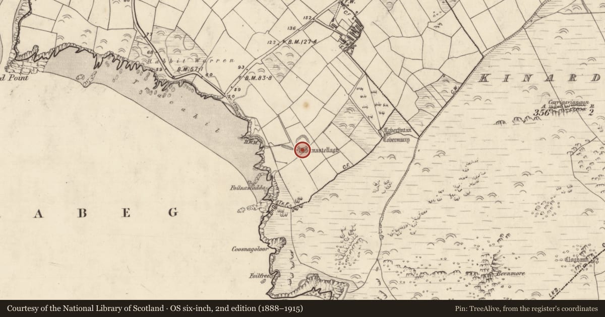 Ordnance Survey six-inch map, 2nd edition (1888–1915) covering the location of Souterrain, Cinn Aird Thiar (TC Cinn Aird), County Kerry, with a pin at the register's coordinates