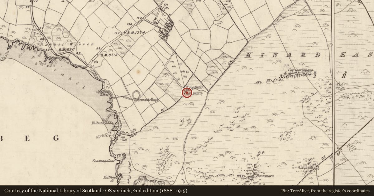 Ordnance Survey six-inch map, 2nd edition (1888–1915) covering the location of Ritual site - holy well, Cinn Aird Thoir (TC Cinn Aird), County Kerry, with a pin at the register's coordinates