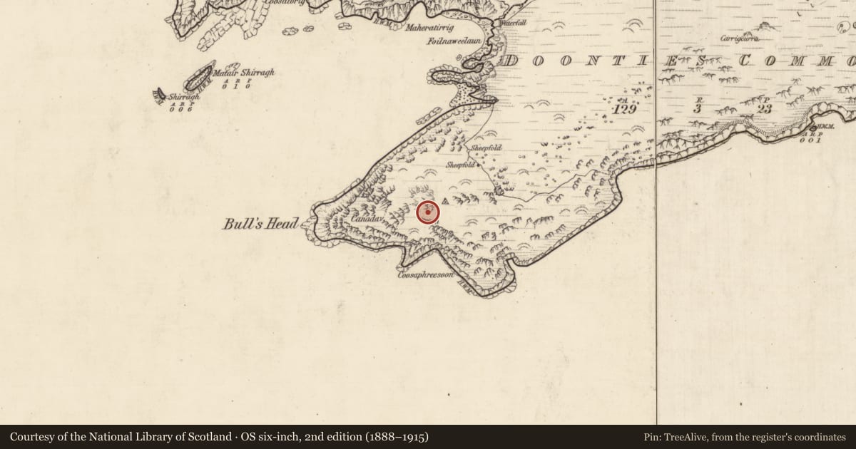 Ordnance Survey six-inch map, 2nd edition (1888–1915) covering the location of Hut site, An Coimín (TC An Mhín Aird), County Kerry, with a pin at the register's coordinates