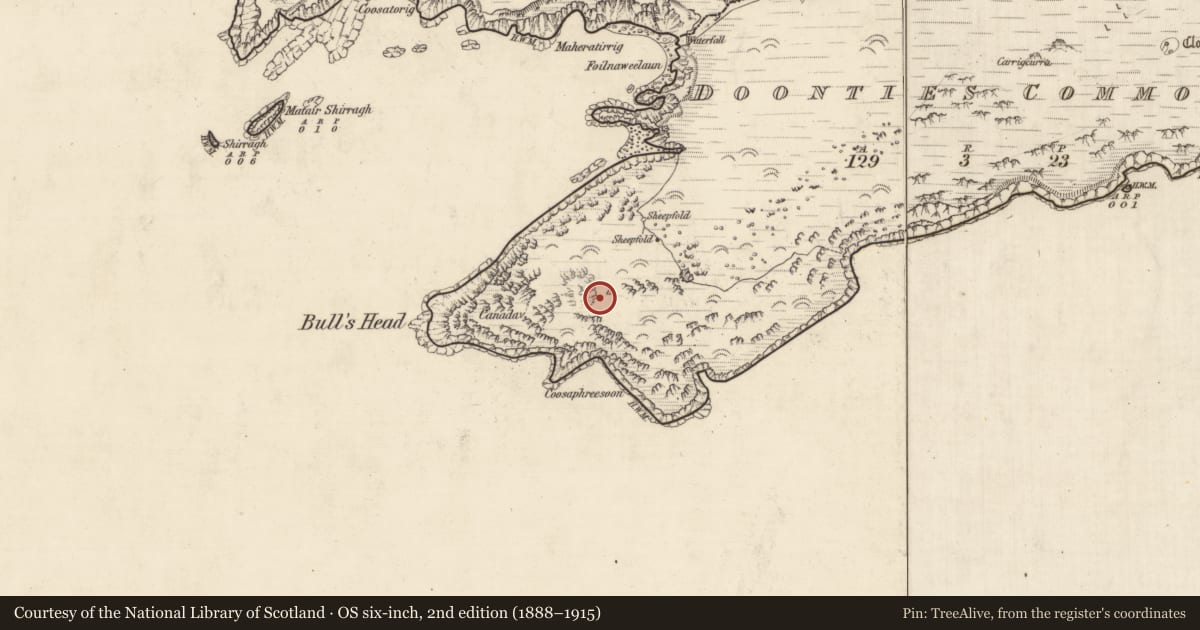Ordnance Survey six-inch map, 2nd edition (1888–1915) covering the location of Hut site, An Coimín (TC An Mhín Aird), County Kerry, with a pin at the register's coordinates