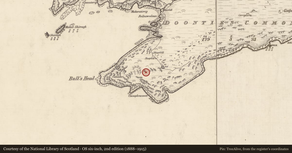 Ordnance Survey six-inch map, 2nd edition (1888–1915) covering the location of Hut site, An Coimín (TC An Mhín Aird), County Kerry, with a pin at the register's coordinates