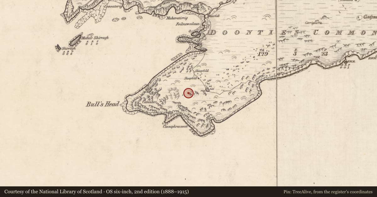 Ordnance Survey six-inch map, 2nd edition (1888–1915) covering the location of Hut site, An Coimín (TC An Mhín Aird), County Kerry, with a pin at the register's coordinates