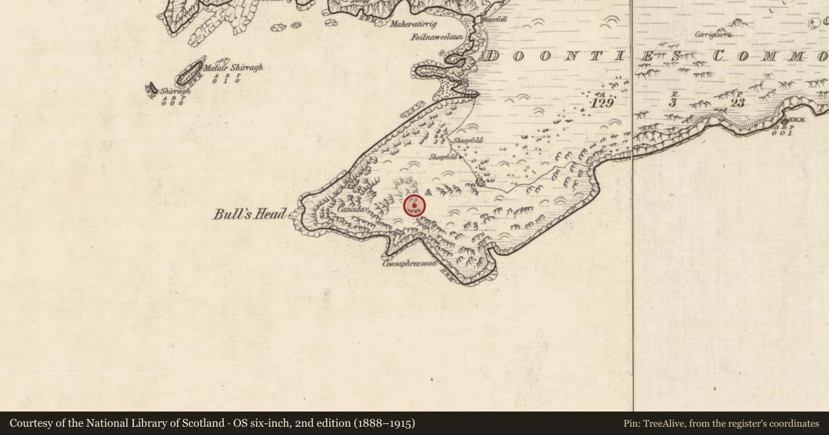 Ordnance Survey six-inch map, 2nd edition (1888–1915) covering the location of Hut site, An Coimín (TC An Mhín Aird), County Kerry, with a pin at the register's coordinates