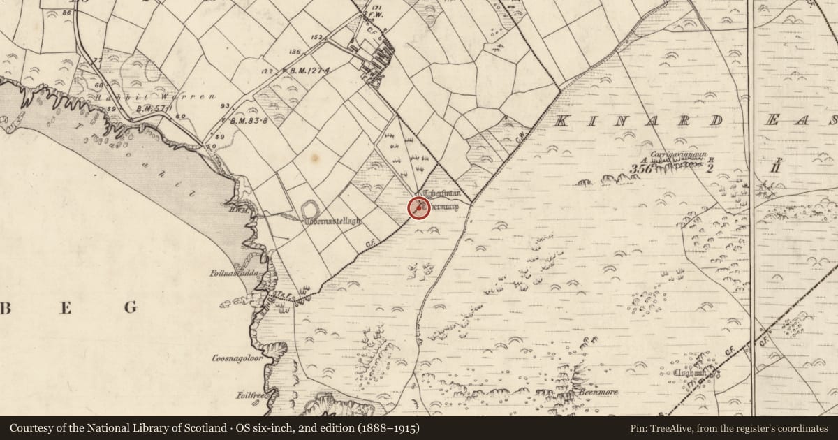 Ordnance Survey six-inch map, 2nd edition (1888–1915) covering the location of Ritual site - holy well, Cinn Aird Thiar (TC Cinn Aird), County Kerry, with a pin at the register's coordinates