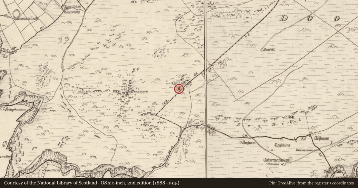 Ordnance Survey six-inch map, 2nd edition (1888–1915) covering the location of Hut site, Cinn Aird Thoir (TC Cinn Aird), County Kerry, with a pin at the register's coordinates