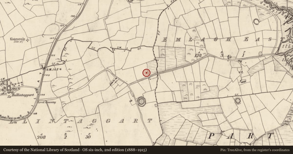 Ordnance Survey six-inch map, 2nd edition (1888–1915) covering the location of Fulacht fia, Baile An Tsagairt (TC Na Gleannta), County Kerry, with a pin at the register's coordinates