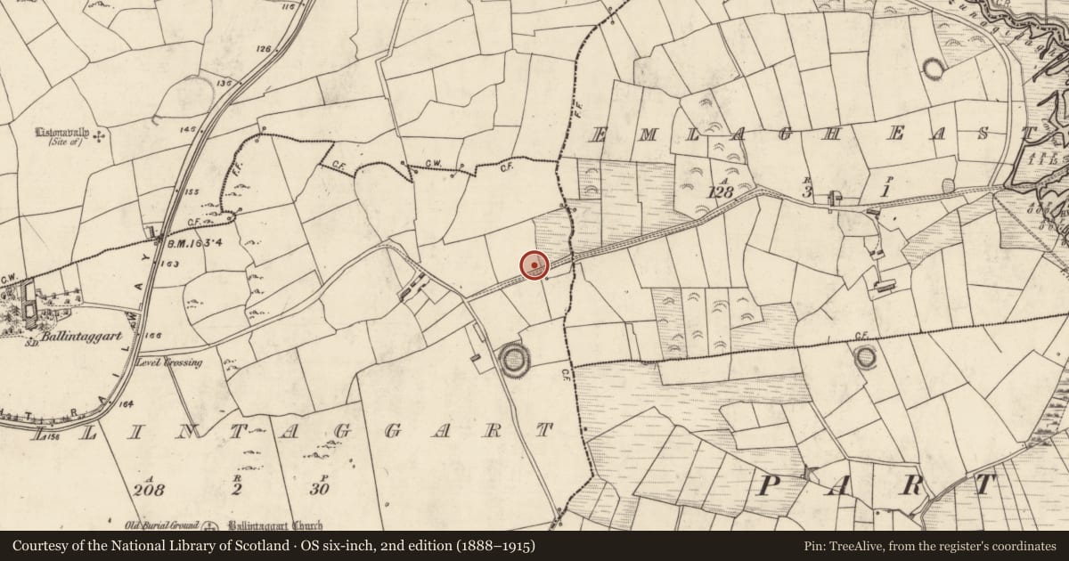 Ordnance Survey six-inch map, 2nd edition (1888–1915) covering the location of Fulacht fia, Baile An Tsagairt (TC Na Gleannta), County Kerry, with a pin at the register's coordinates