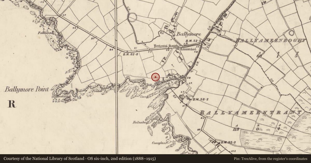 Ordnance Survey six-inch map, 2nd edition (1888–1915) covering the location of Ogham stone, Baile Mór Thiar, County Kerry, with a pin at the register's coordinates