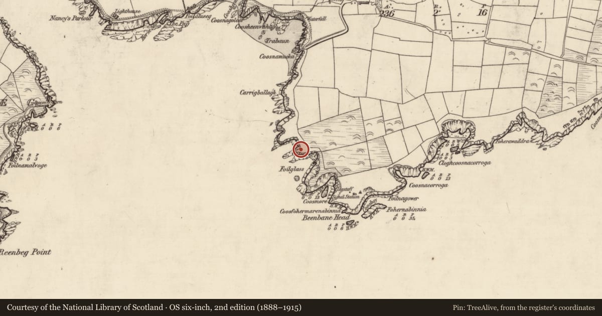 Ordnance Survey six-inch map, 2nd edition (1888–1915) covering the location of Promontory fort - coastal, An Bhinn Bhán (Corca Dhuibhne), County Kerry, with a pin at the register's coordinates