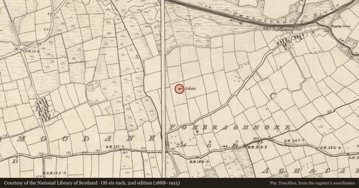 Ordnance Survey six-inch map, 2nd edition (1888–1915) covering the location of Standing stone, An Fhothrach Mhór, County Kerry, with a pin at the register's coordinates