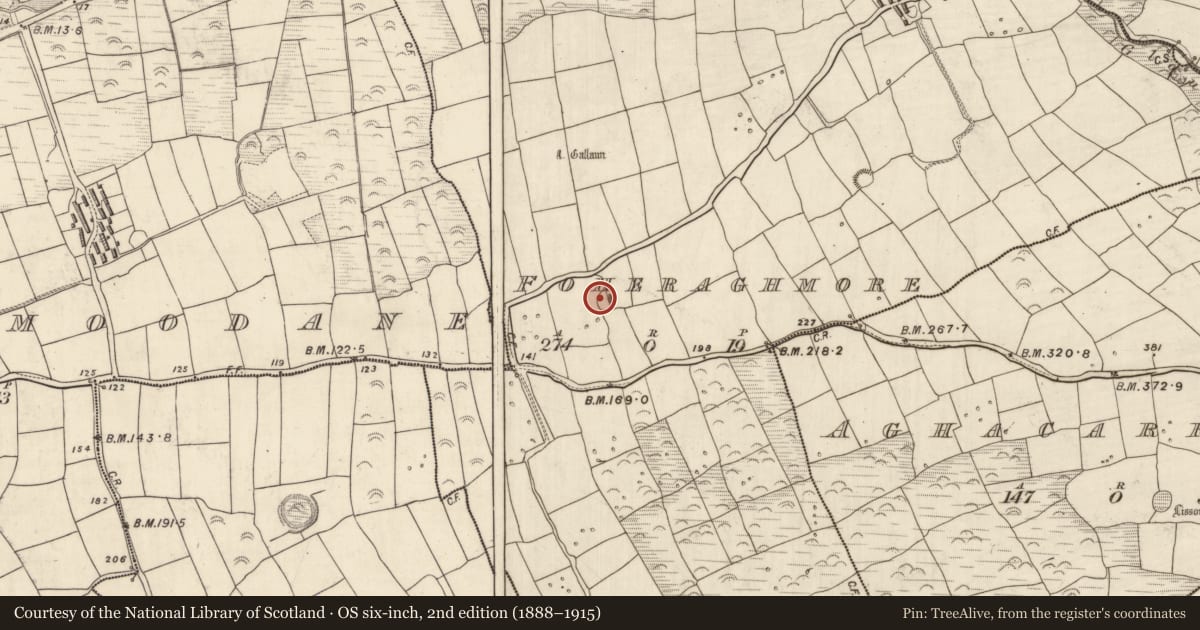 Ordnance Survey six-inch map, 2nd edition (1888–1915) covering the location of Ringfort - rath, An Fhothrach Mhór, County Kerry, with a pin at the register's coordinates