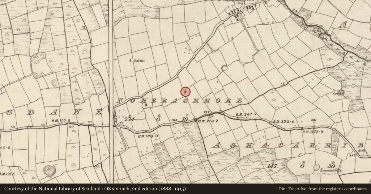 Ordnance Survey six-inch map, 2nd edition (1888–1915) covering the location of Ringfort - rath, An Fhothrach Mhór, County Kerry, with a pin at the register's coordinates