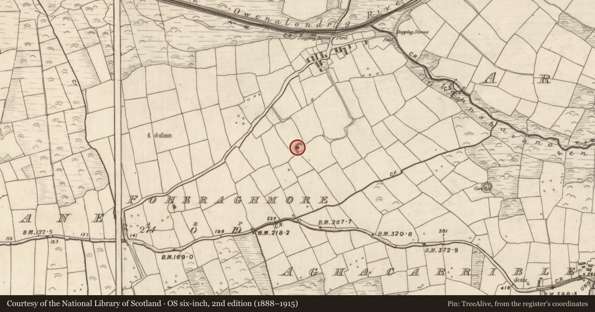 Ordnance Survey six-inch map, 2nd edition (1888–1915) covering the location of Ringfort - rath, An Fhothrach Mhór, County Kerry, with a pin at the register's coordinates