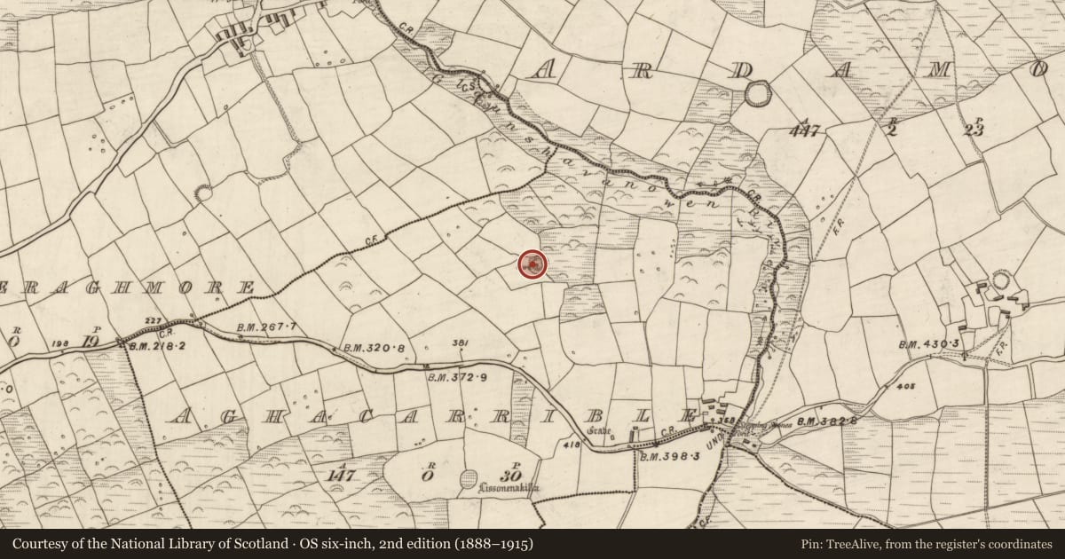Ordnance Survey six-inch map, 2nd edition (1888–1915) covering the location of Ogham stone, Áth An Charbaill, County Kerry, with a pin at the register's coordinates