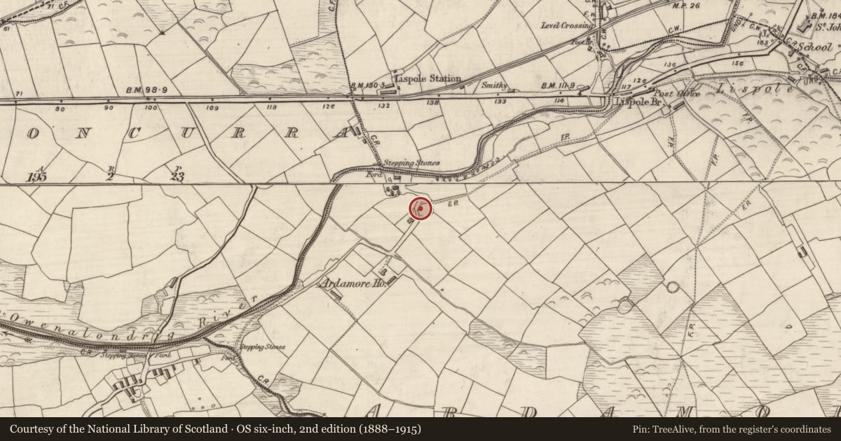 Ordnance Survey six-inch map, 2nd edition (1888–1915) covering the location of Ringfort - rath, Arda Mór (TC Cinn Aird), County Kerry, with a pin at the register's coordinates