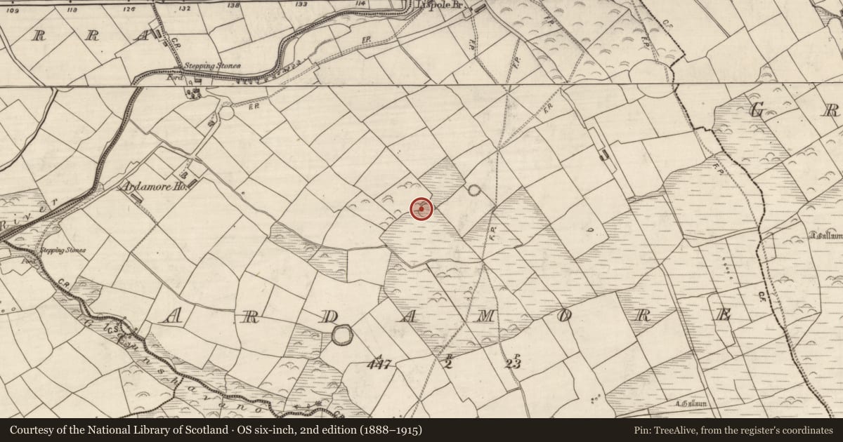 Ordnance Survey six-inch map, 2nd edition (1888–1915) covering the location of Ringfort - rath, Arda Mór (TC Cinn Aird), County Kerry, with a pin at the register's coordinates