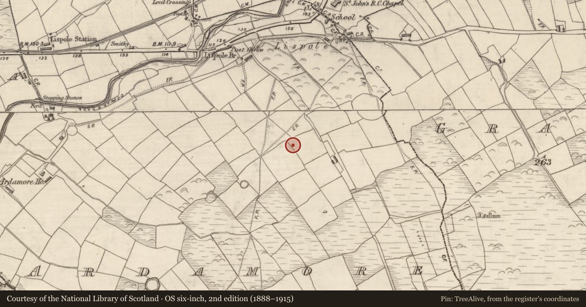 Ordnance Survey six-inch map, 2nd edition (1888–1915) covering the location of Ringfort - rath, Arda Mór (TC Cinn Aird), County Kerry, with a pin at the register's coordinates