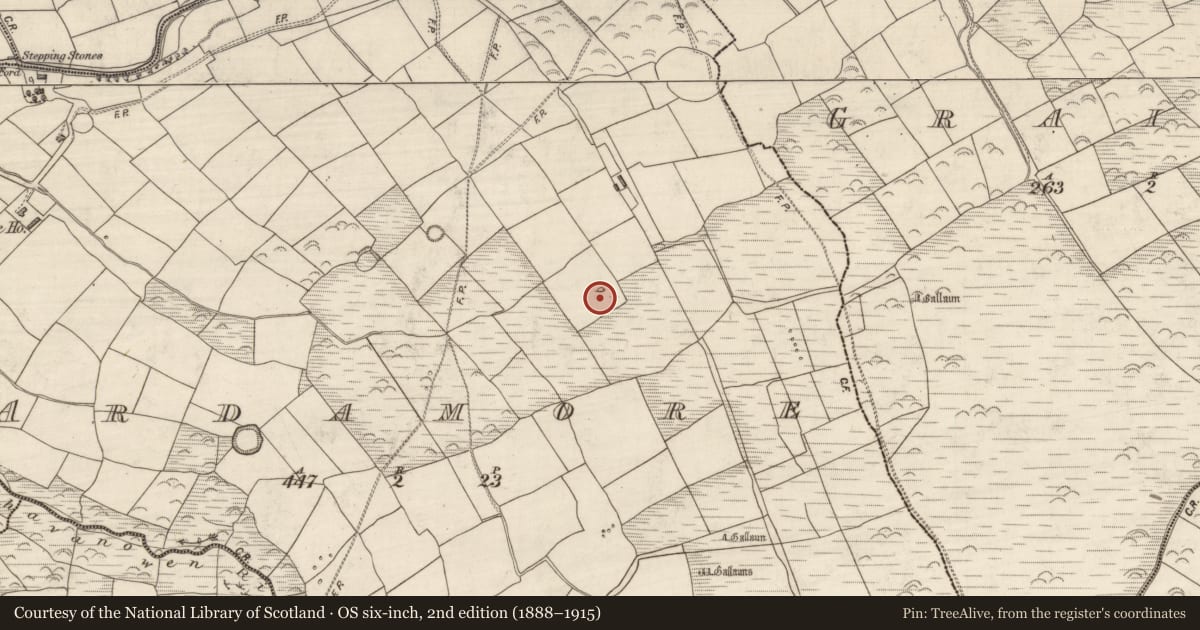 Ordnance Survey six-inch map, 2nd edition (1888–1915) covering the location of Standing stone, Arda Mór (TC Cinn Aird), County Kerry, with a pin at the register's coordinates