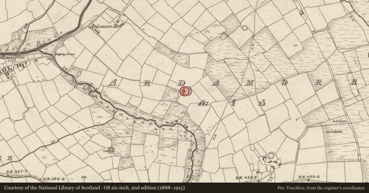 Ordnance Survey six-inch map, 2nd edition (1888–1915) covering the location of Enclosure, Arda Mór (TC Cinn Aird), County Kerry, with a pin at the register's coordinates