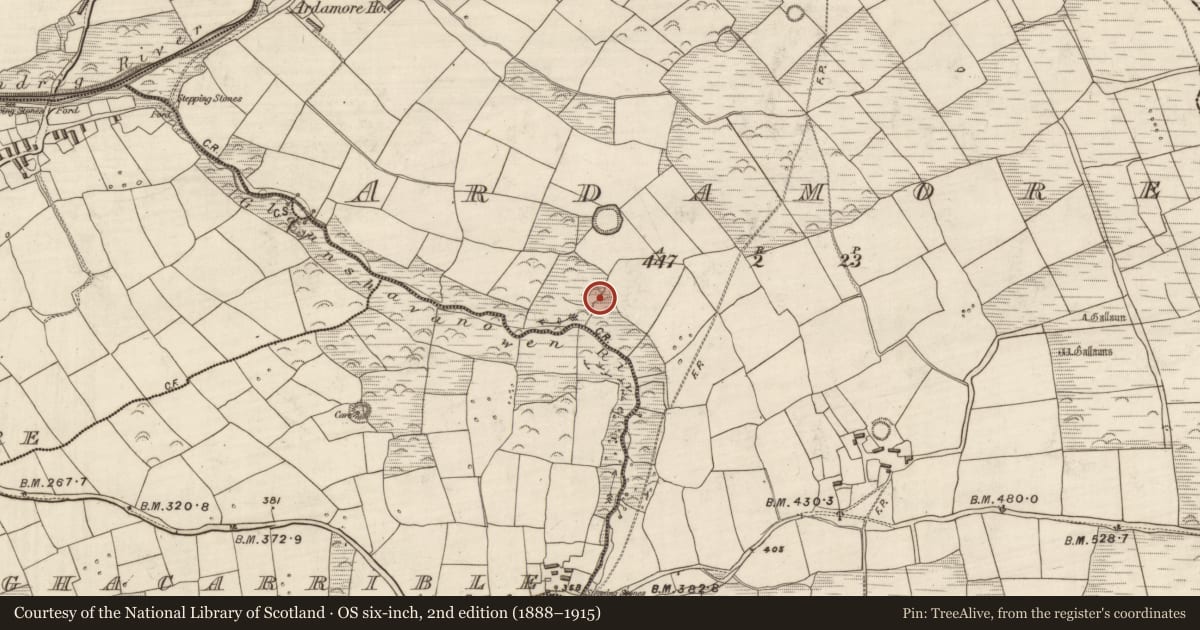 Ordnance Survey six-inch map, 2nd edition (1888–1915) covering the location of Burial ground, Arda Mór (TC Cinn Aird), County Kerry, with a pin at the register's coordinates