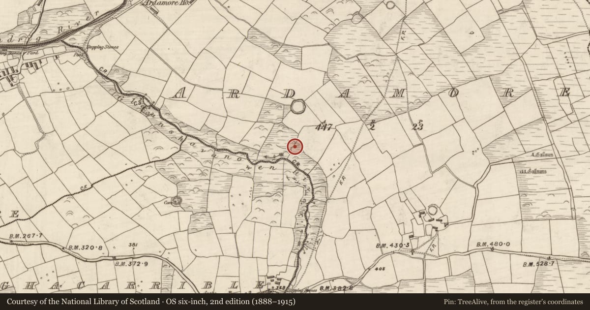 Ordnance Survey six-inch map, 2nd edition (1888–1915) covering the location of Building, Arda Mór (TC Cinn Aird), County Kerry, with a pin at the register's coordinates